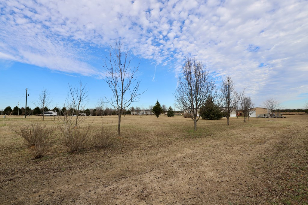 5285 Cannery Road Dalzell, SC 29040 - Photo 3 of 73 Gallery Image 3