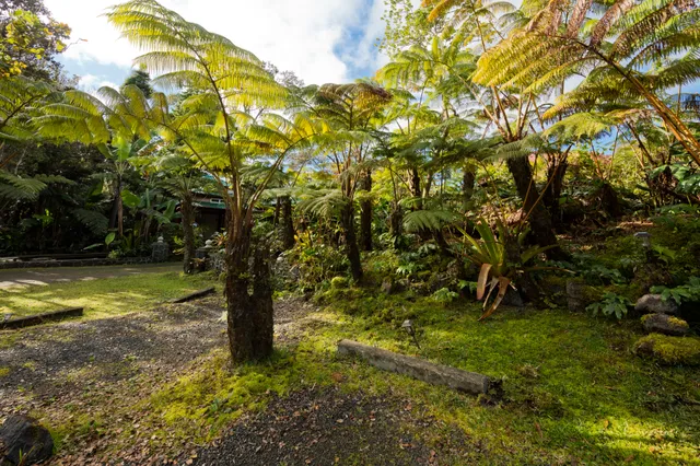 a view of outdoor space