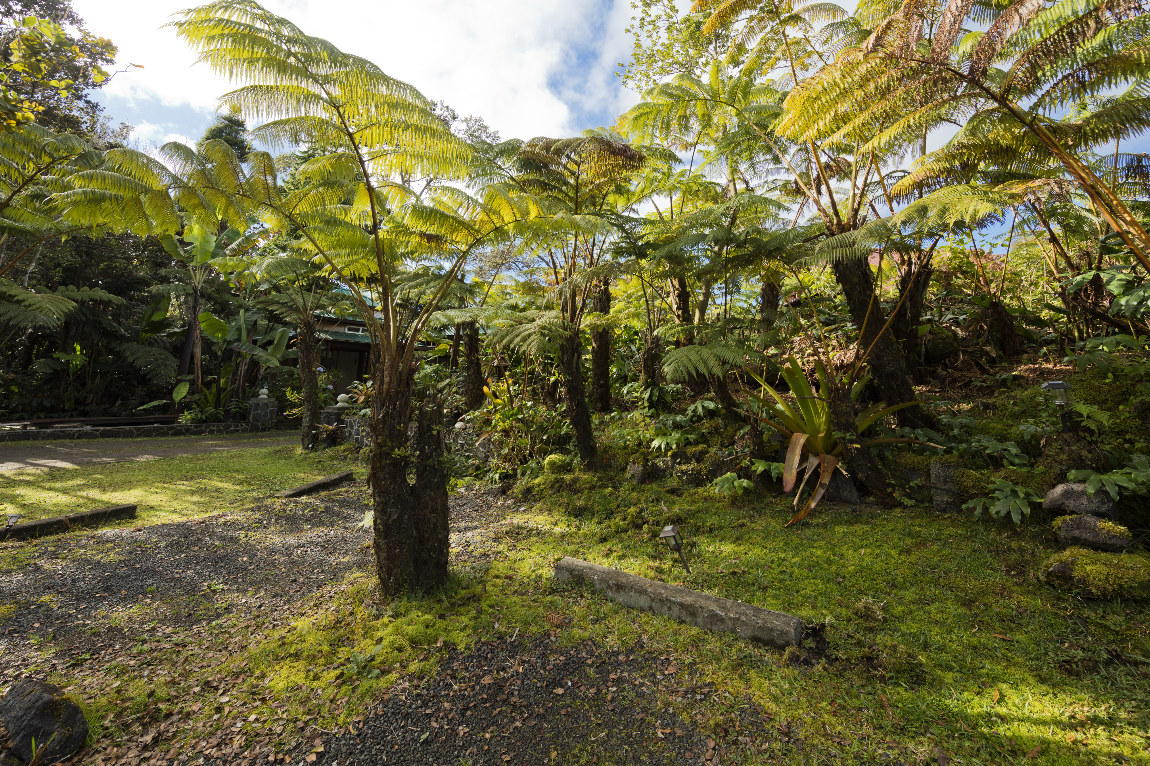 19-4245 Kekoa Nui Boulevard Volcano, HI 96785 - Photo 2 of 30 a view of outdoor space