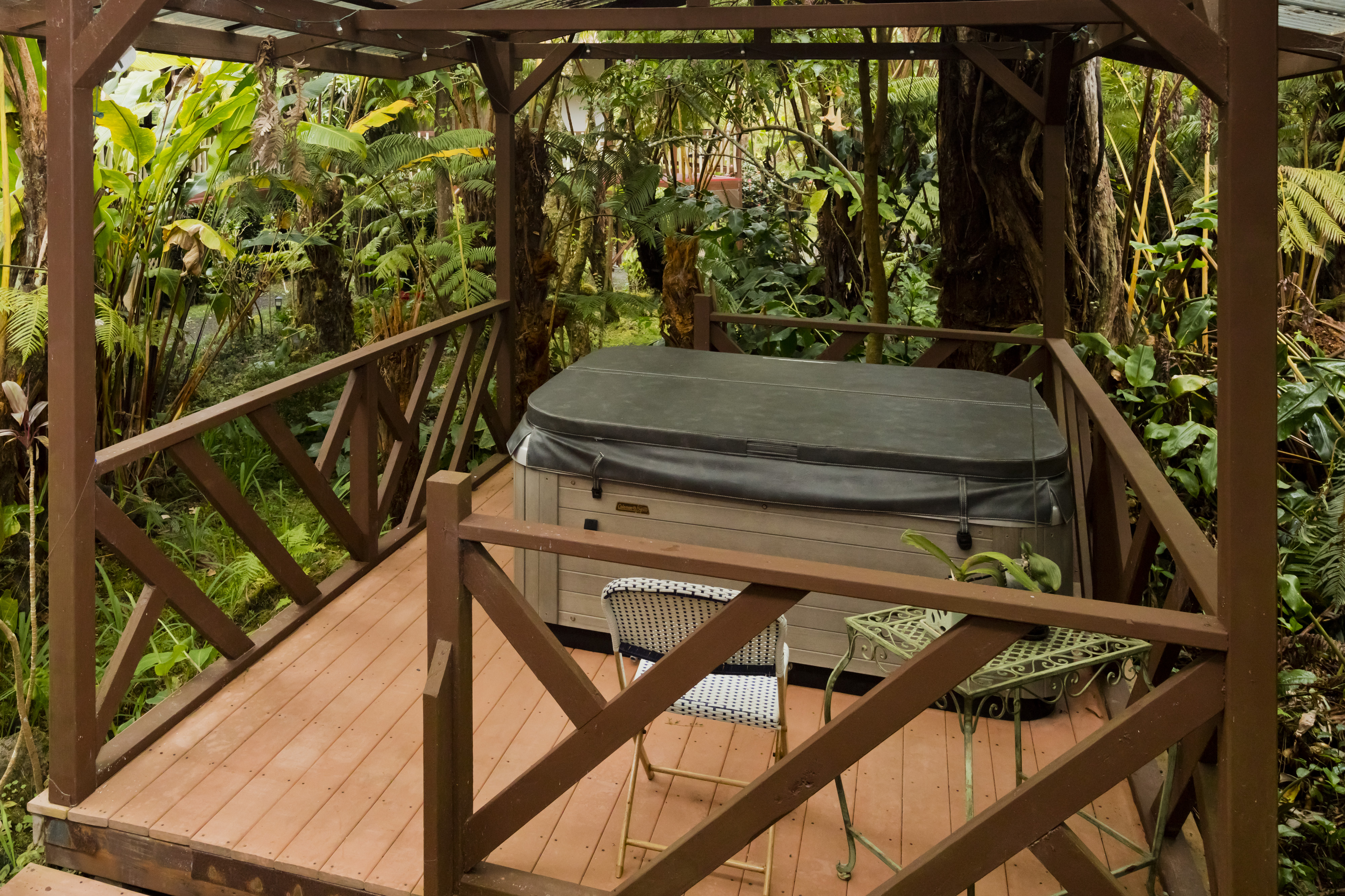 19-4245 Kekoa Nui Boulevard Volcano, HI 96785 - Photo 29 of 30 a view of a balcony
