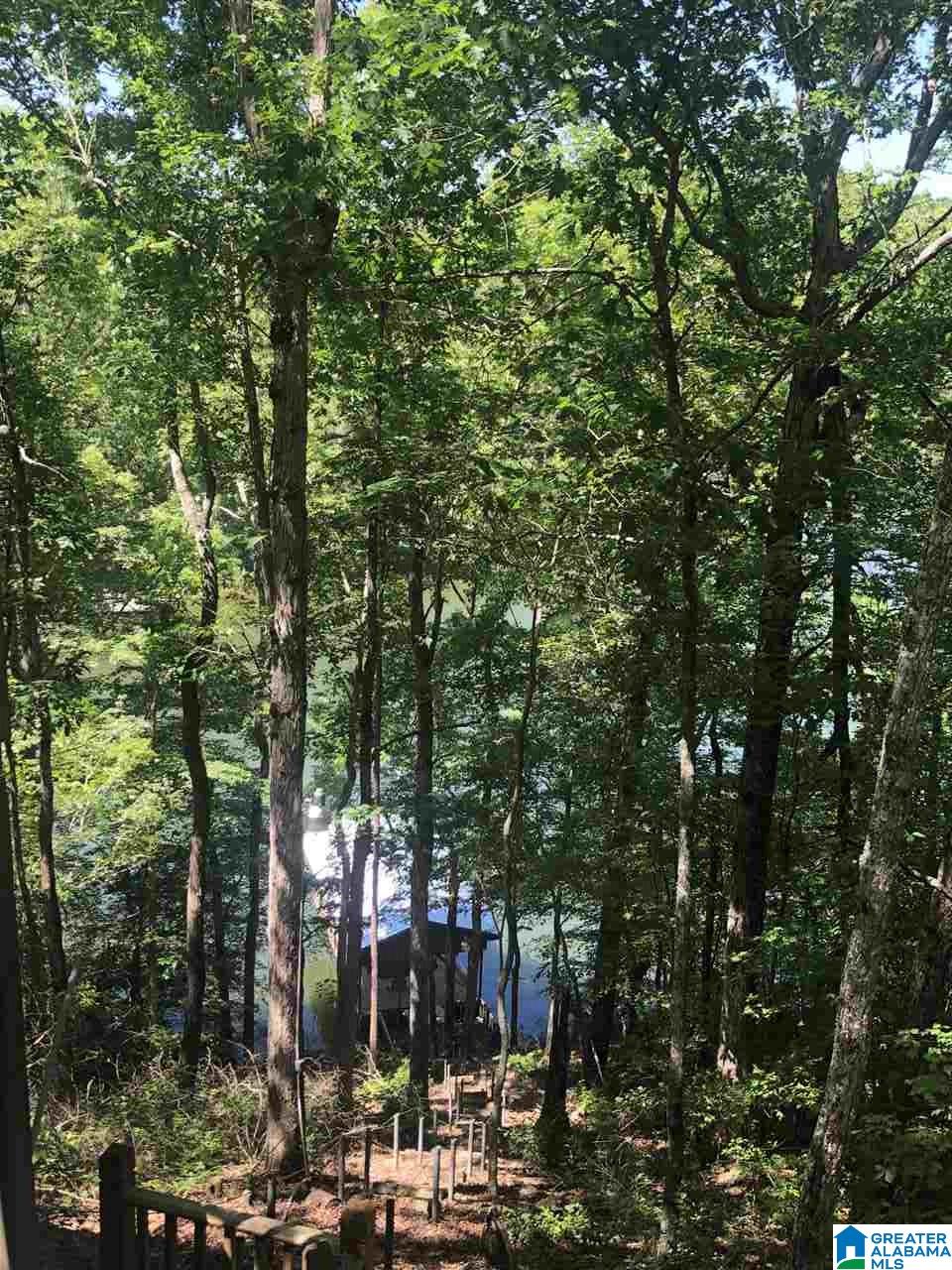 17 County Road 656 Clanton, AL 35046 - Photo 19 of 21