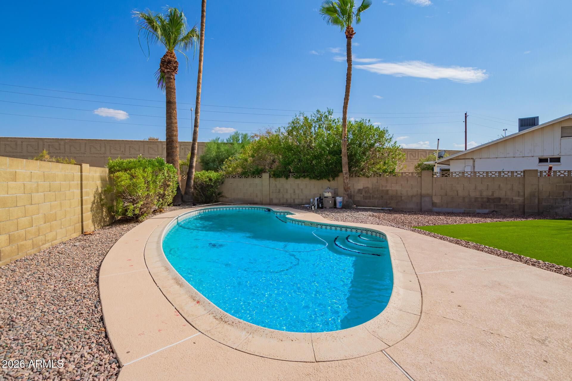 3929 South Pine Street Tempe, AZ 85282 - Photo 21 of 23 a view of a swimming pool with a yard and plants