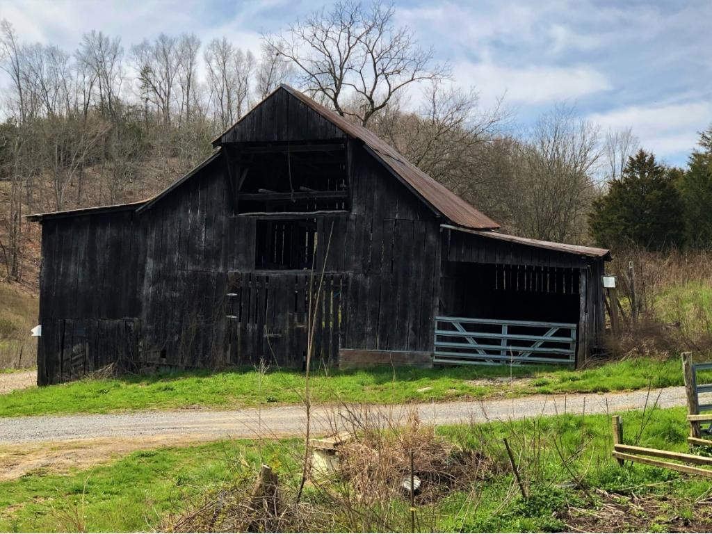 1172 Palmer Hollow Road Bybee, TN 37713 - Photo 2 of 48 Photo 2