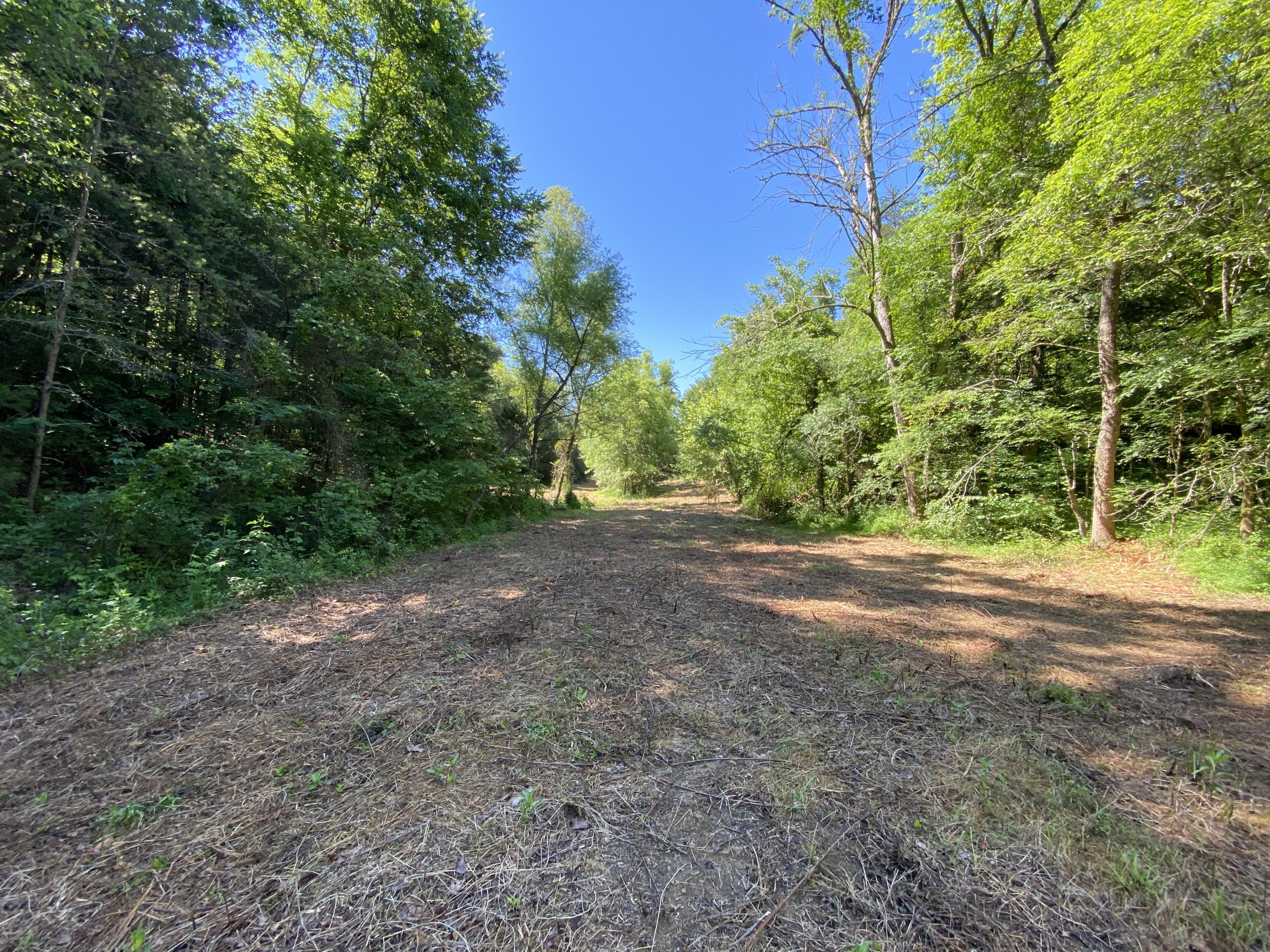 1172 Palmer Hollow Road Bybee, TN 37713 - Photo 30 of 48 IMG_2742