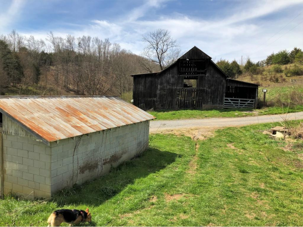 1172 Palmer Hollow Road Bybee, TN 37713 - Photo 3 of 48 Photo 3