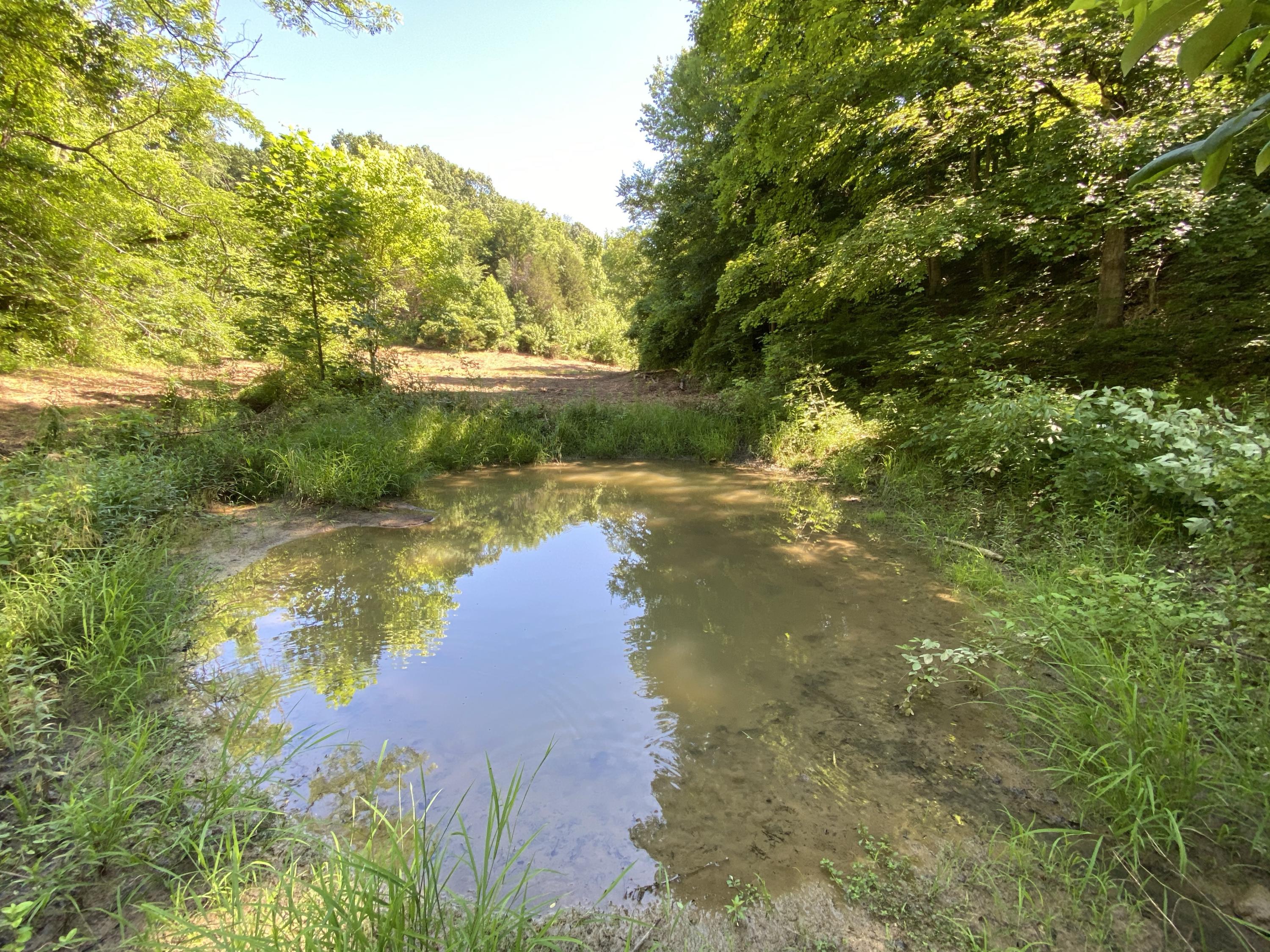 1172 Palmer Hollow Road Bybee, TN 37713 - Photo 31 of 48 IMG_2744