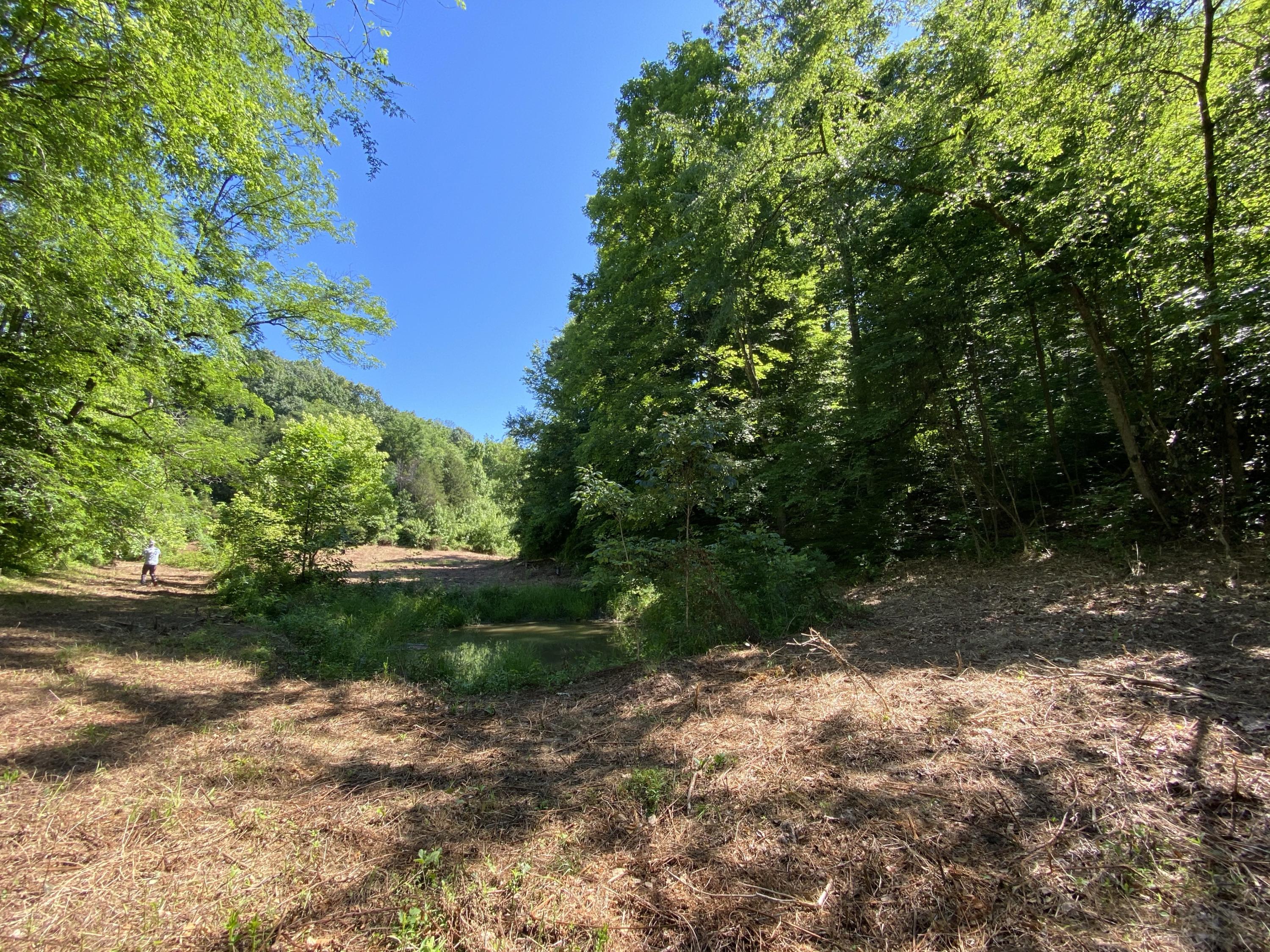 1172 Palmer Hollow Road Bybee, TN 37713 - Photo 32 of 48 IMG_2746