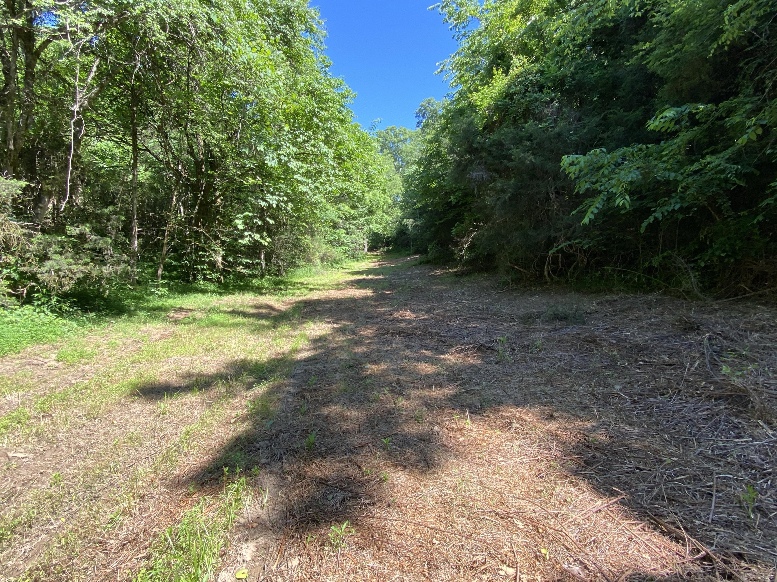 1172 Palmer Hollow Road Bybee, TN 37713 - Photo 33 of 48 IMG_2747