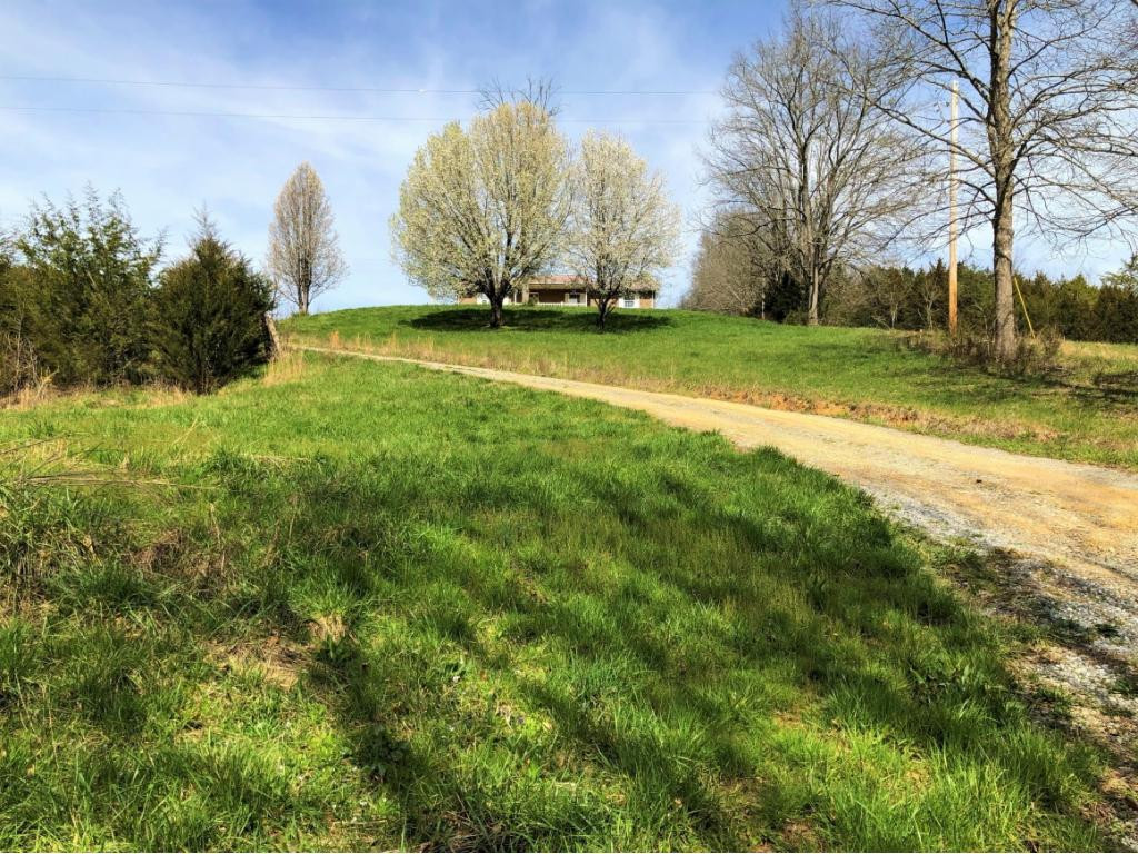 1172 Palmer Hollow Road Bybee, TN 37713 - Photo 38 of 48 Photo 26