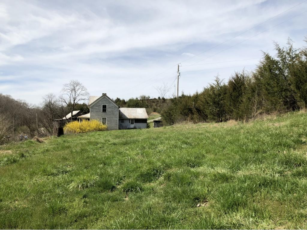 1172 Palmer Hollow Road Bybee, TN 37713 - Photo 39 of 48 Photo 27