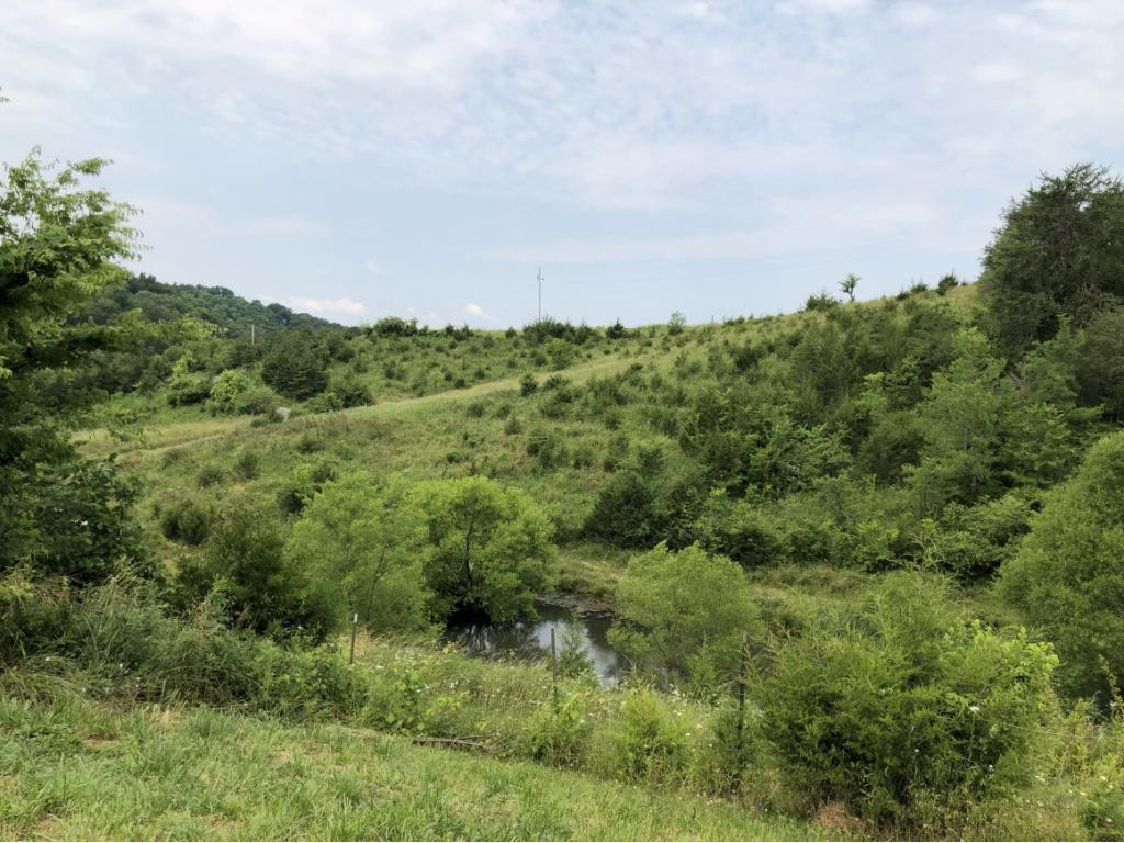 1172 Palmer Hollow Road Bybee, TN 37713 - Photo 40 of 48 Photo 28
