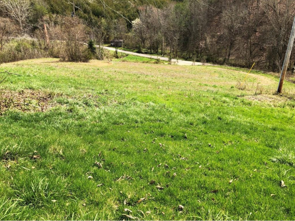 1172 Palmer Hollow Road Bybee, TN 37713 - Photo 41 of 48 Photo 29