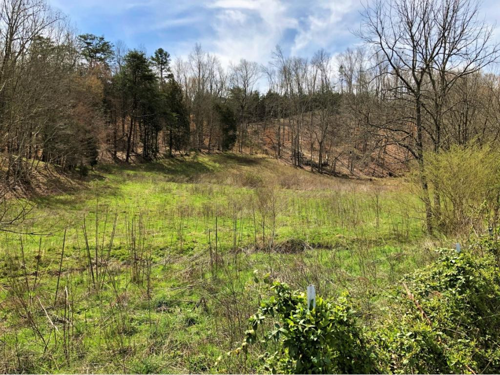 1172 Palmer Hollow Road Bybee, TN 37713 - Photo 42 of 48 Photo 30