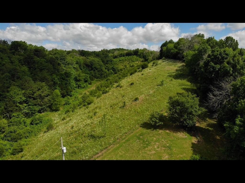 1172 Palmer Hollow Road Bybee, TN 37713 - Photo 43 of 48 20