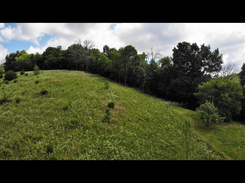 1172 Palmer Hollow Road Bybee, TN 37713 - Photo 44 of 48 21