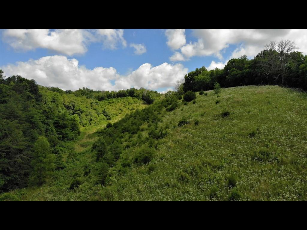 1172 Palmer Hollow Road Bybee, TN 37713 - Photo 45 of 48 22