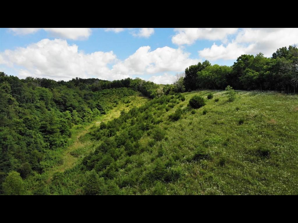 1172 Palmer Hollow Road Bybee, TN 37713 - Photo 46 of 48 23