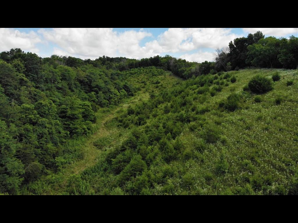 1172 Palmer Hollow Road Bybee, TN 37713 - Photo 47 of 48 26
