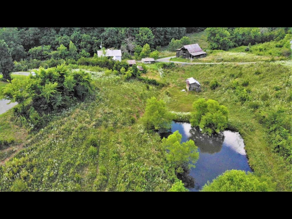 1172 Palmer Hollow Road Bybee, TN 37713 - Photo 48 of 48 29