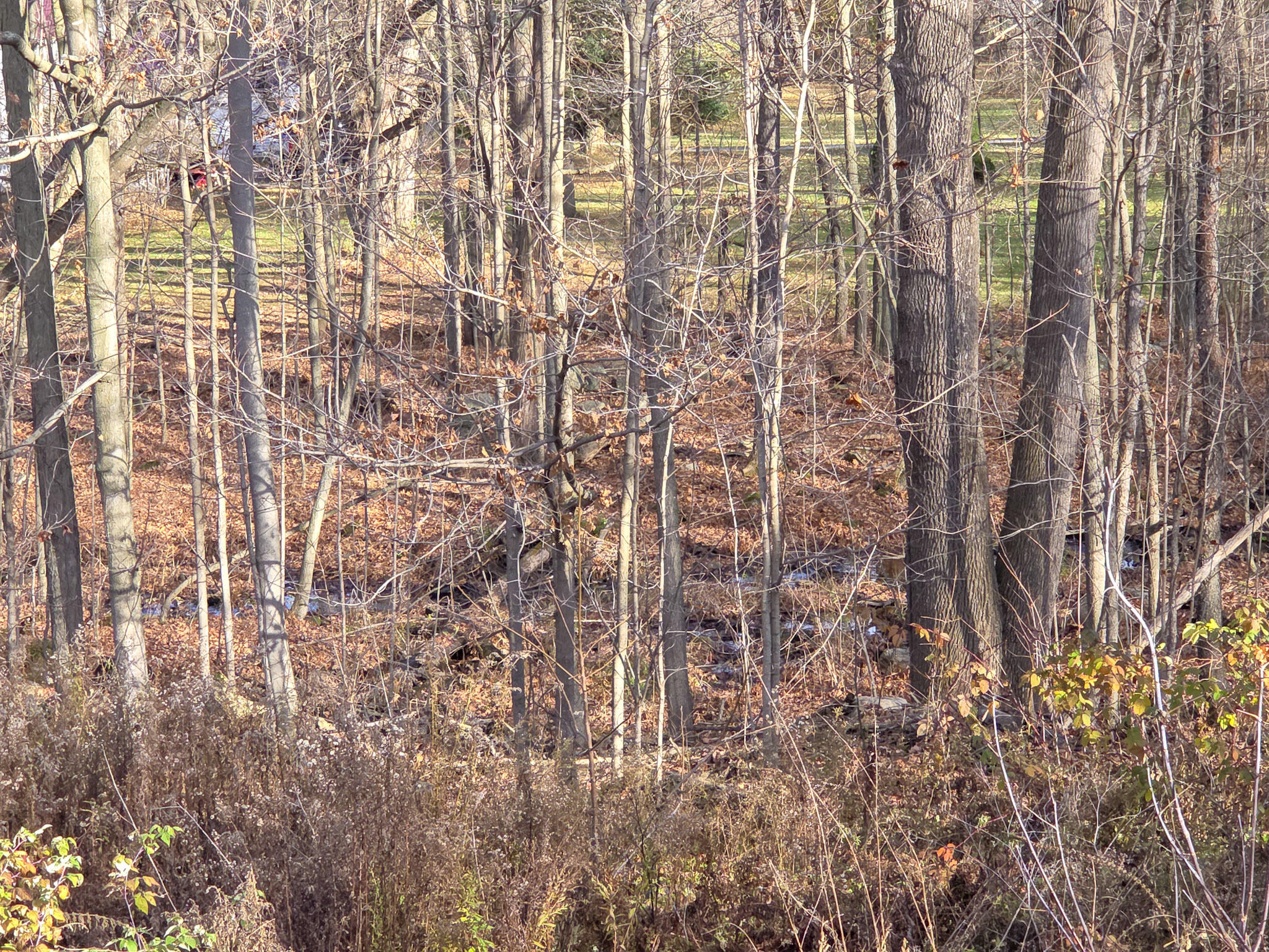 970 Irona Road Altona, NY 12910 - Photo 40 of 40 Gallery Image 40