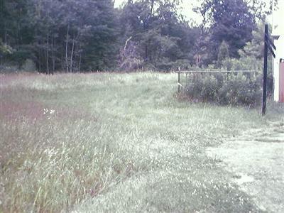 20495 Junction Road Bellevue, MI 49021 - Photo 3 of 7 Additional Photo