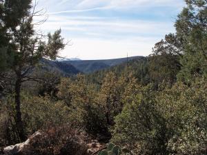 17033 Control Road Payson, AZ 85541 - Photo 3 of 28