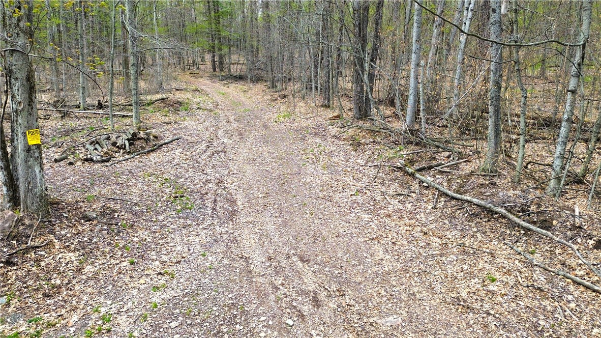 0 Patent Line Road Franklin, NY 13775 - Photo 18 of 47