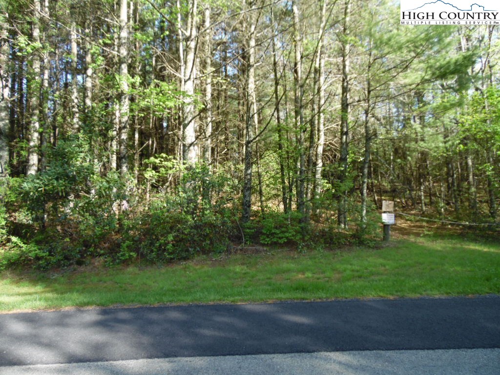 Brooks Rd Road Glade Valley, NC 28627 - Photo 1 of 30 Gallery Image 1