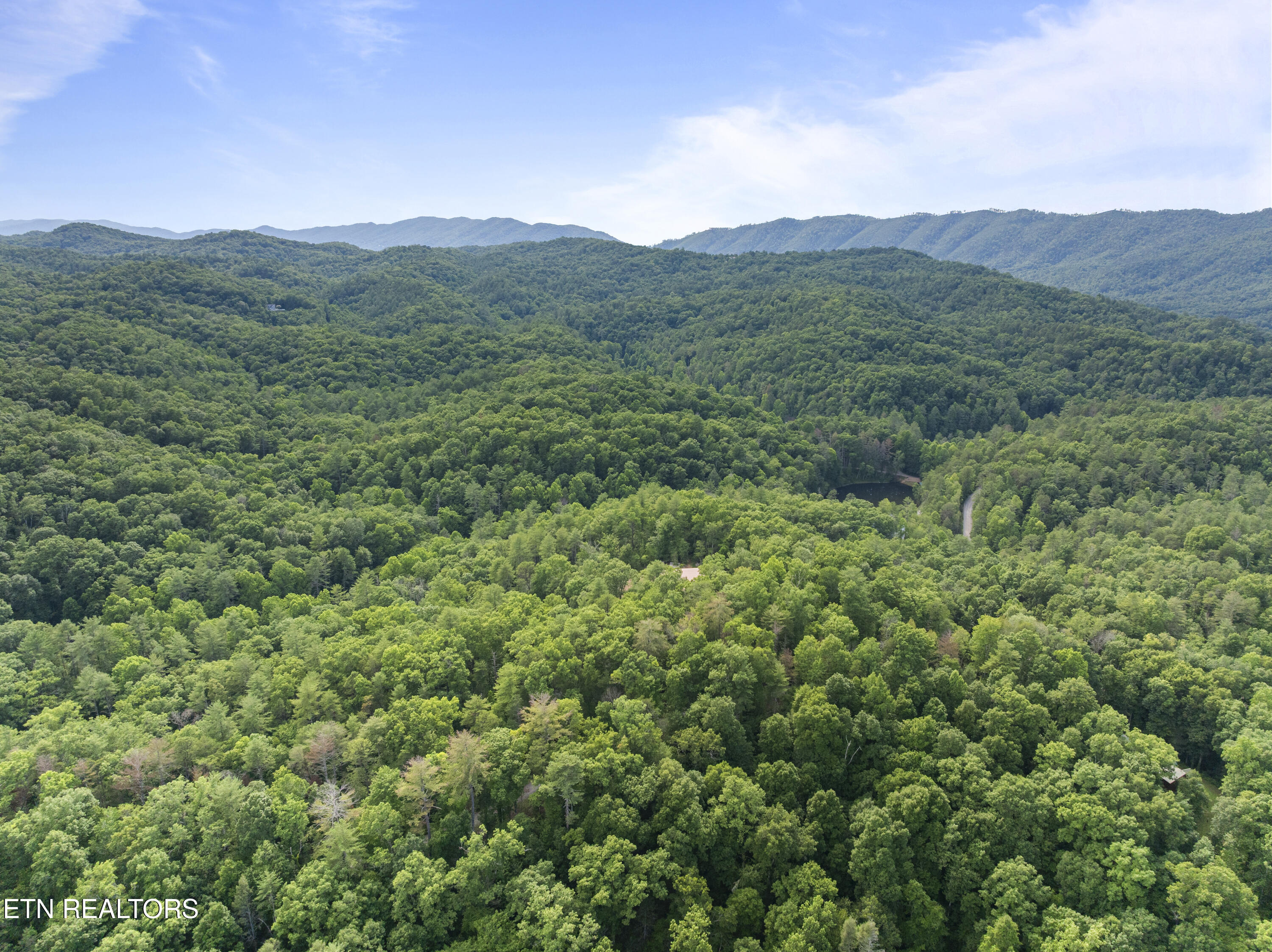 Tbd Tbd Grouse Top (lot 4) Road Walland, TN 37886 - Photo 8 of 10 Walland007