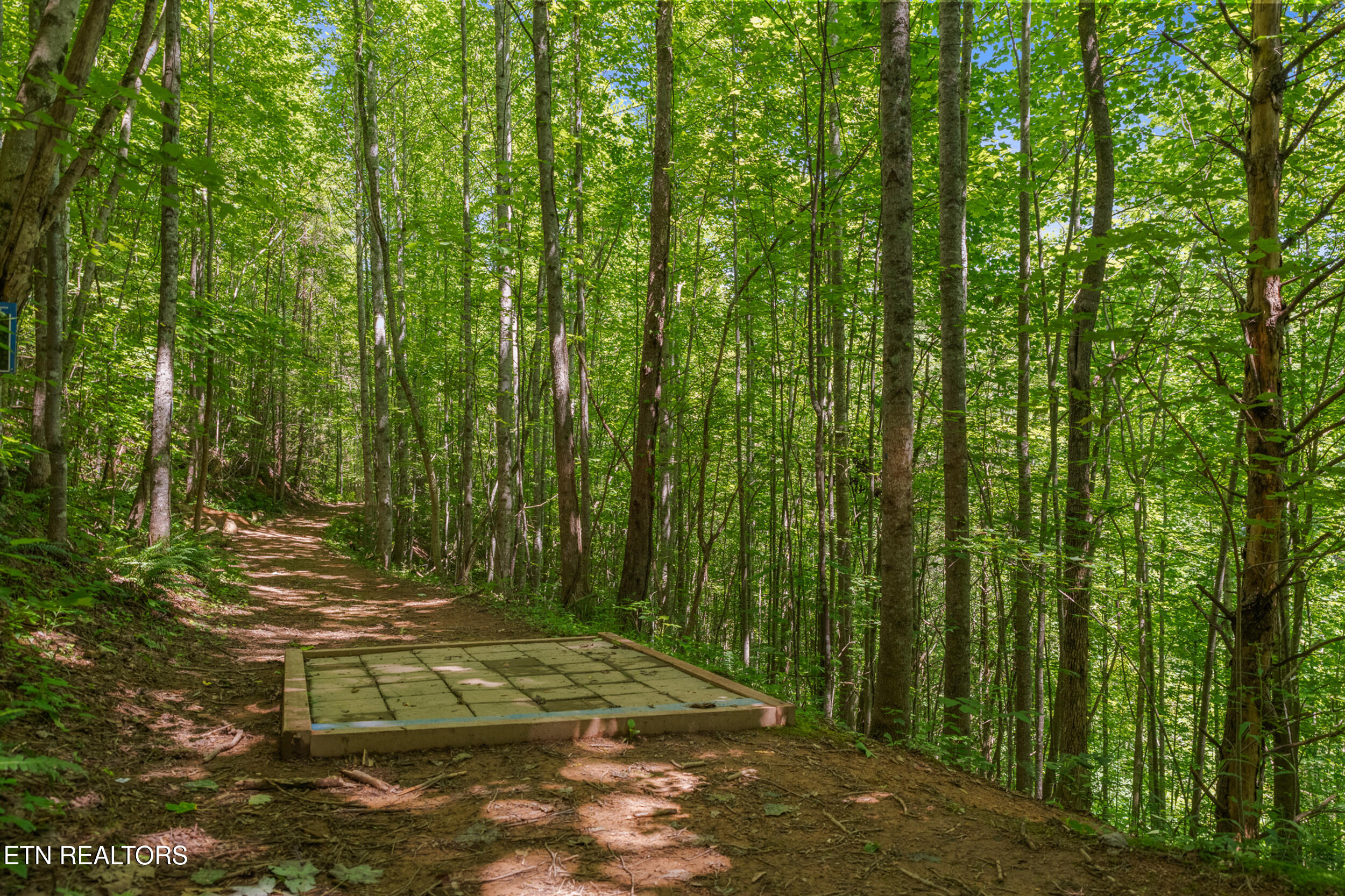 2792 Happy Hollow Road Sevierville, TN 37862 - Photo 33 of 59 46_2792 happy hollow-41