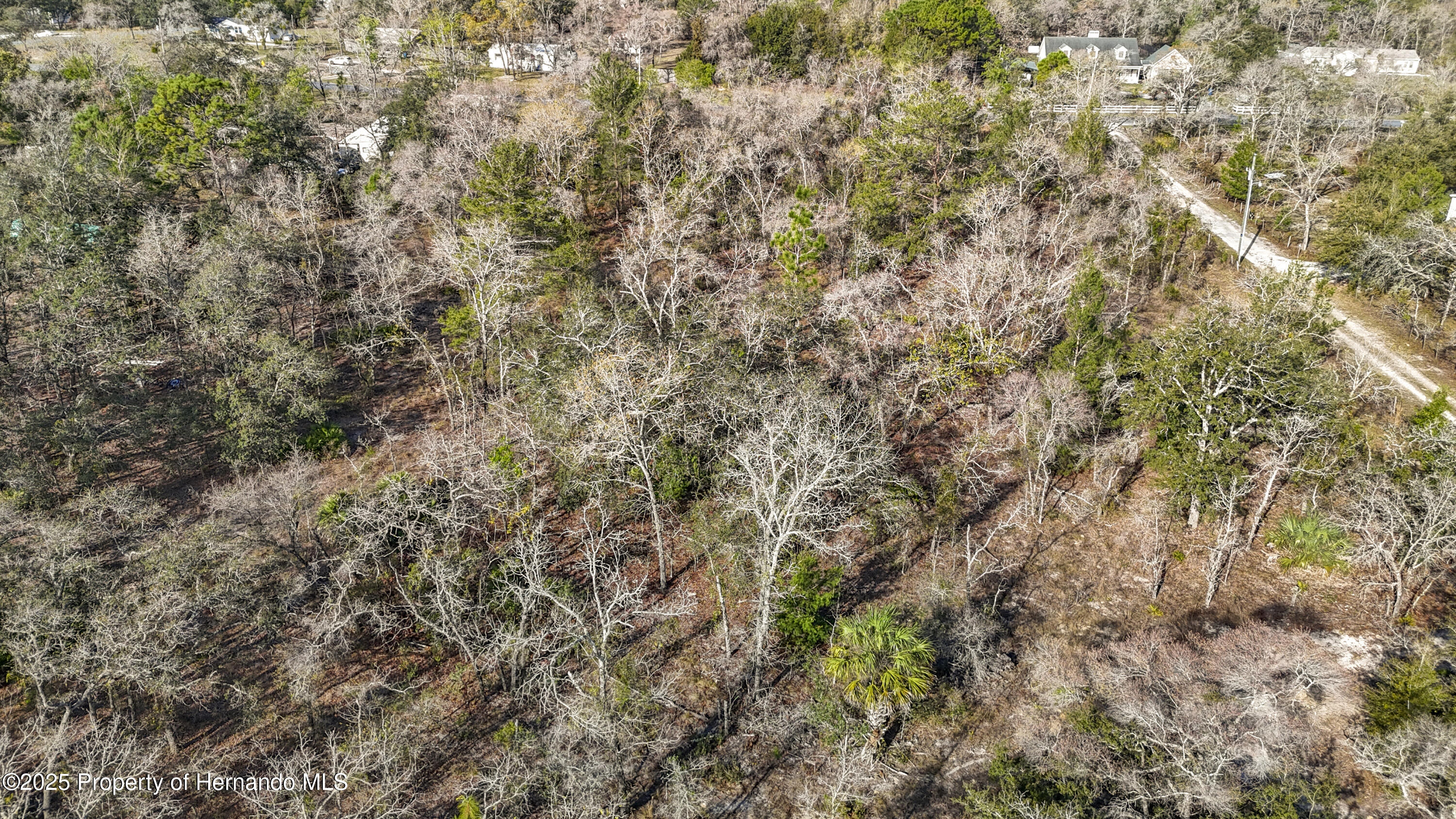 0 Maripoe Road Weeki Wachee, FL 34614 - Photo 38 of 39