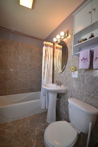 4133 North Maple Avenue Brookfield, IL 60513 - Photo 13 of 24