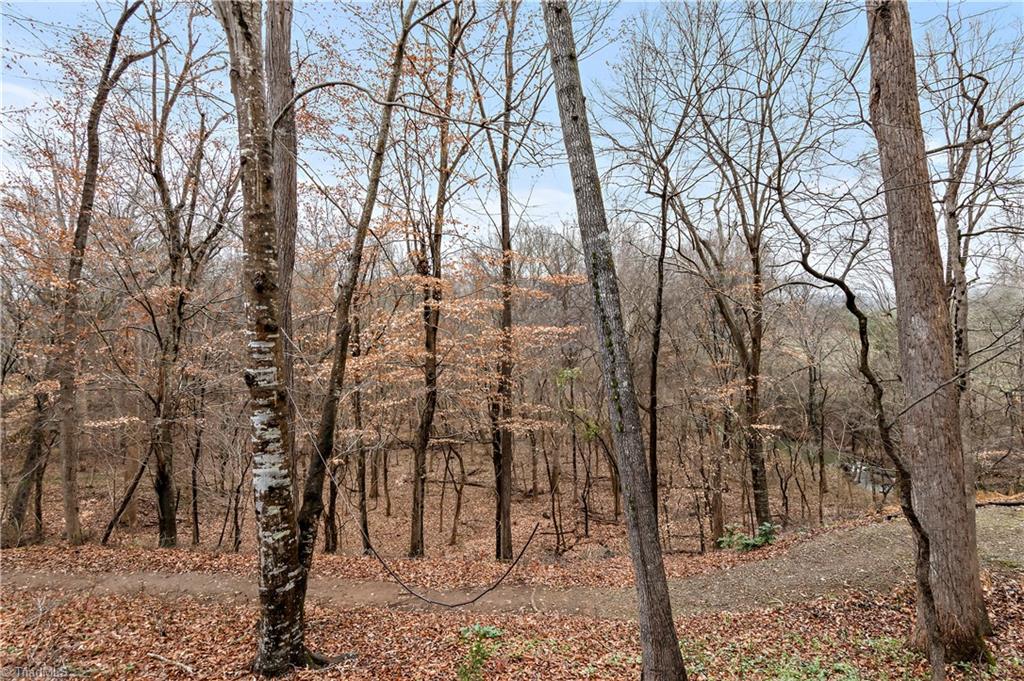 1039 Underpass Road Advance, NC 27006 - Photo 36 of 48 Gallery Image 36