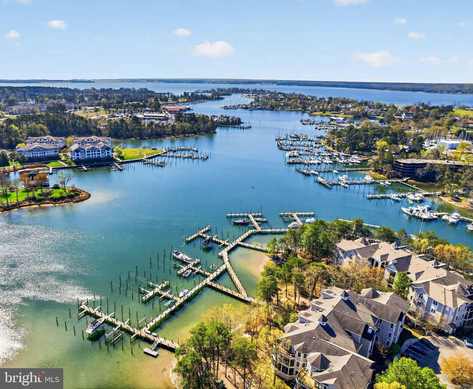 723 Runabout Loop, Unit 723 Solomons, MD 20688 - Photo 1 of 47 an aerial view of residential houses with outdoor space