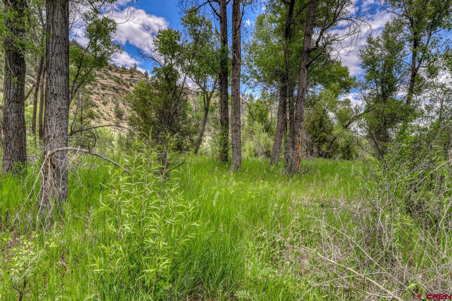 454 Estates Circle Road Pagosa Springs, CO 81147 - Photo 28 of 35 a view of a lush green space