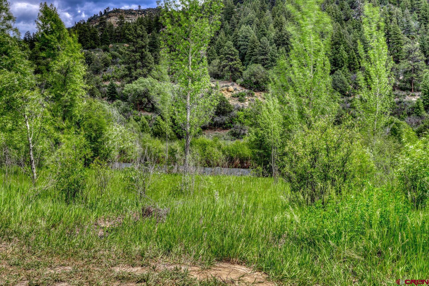 454 Estates Circle Road Pagosa Springs, CO 81147 - Photo 32 of 35 a view of a lush green forest