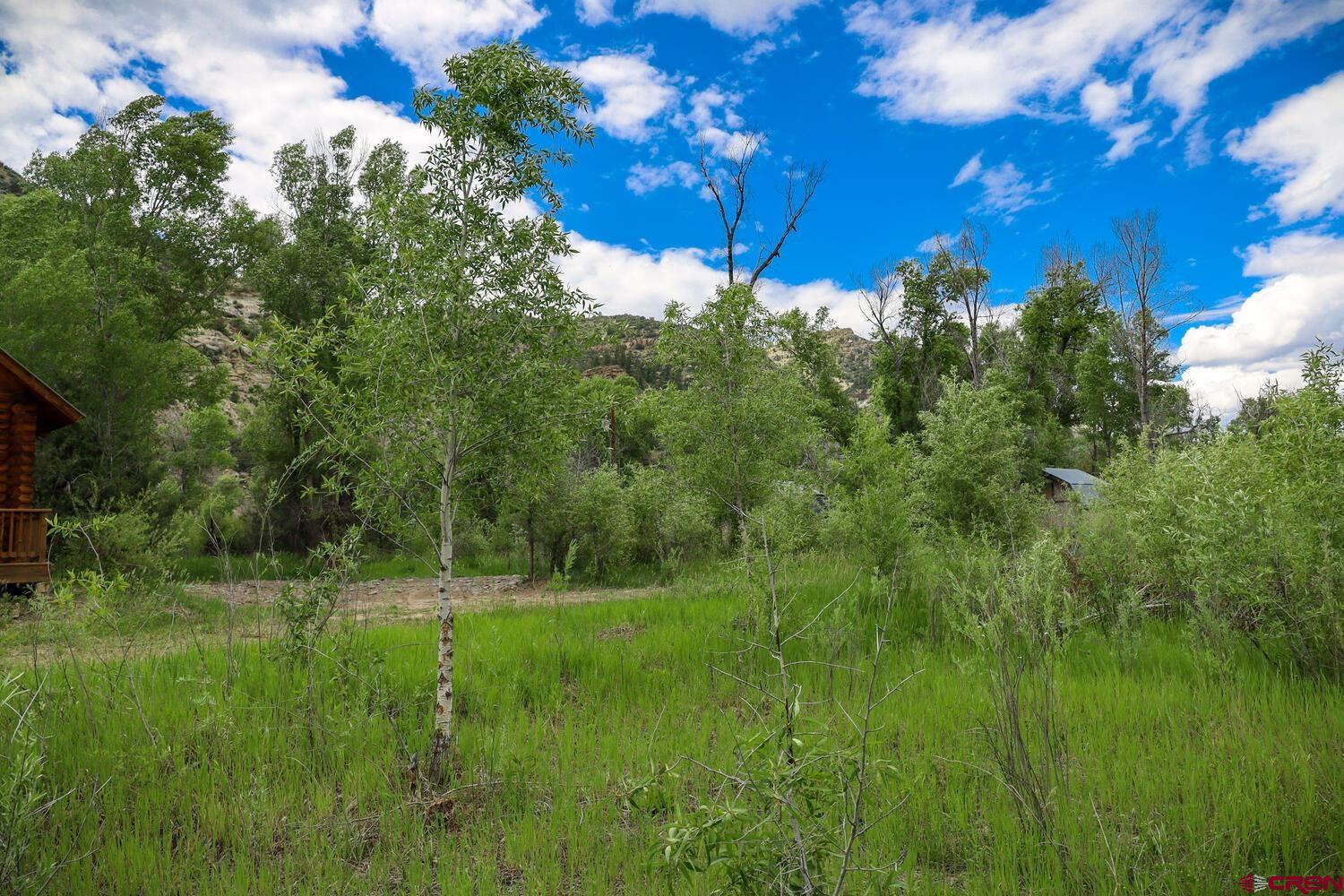 454 Estates Circle Road Pagosa Springs, CO 81147 - Photo 33 of 35 a view of a field with a tree
