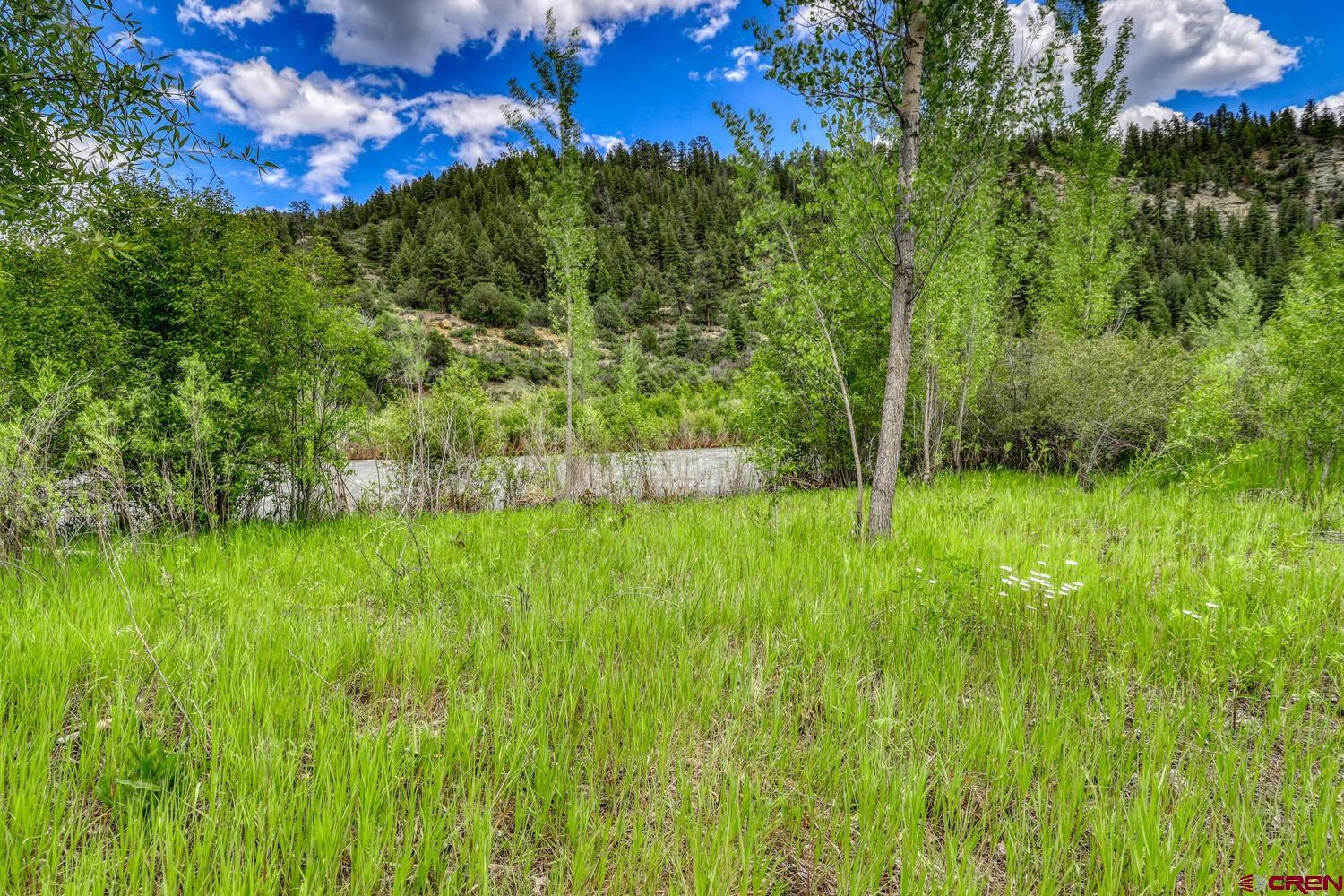 454 Estates Circle Road Pagosa Springs, CO 81147 - Photo 34 of 35 a view of garden