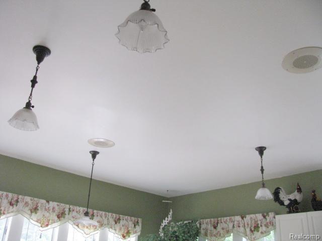 315 Benjamin Street Romeo, MI 48065 - Photo 14 of 54 #14 Kitchen Lighting.jpg