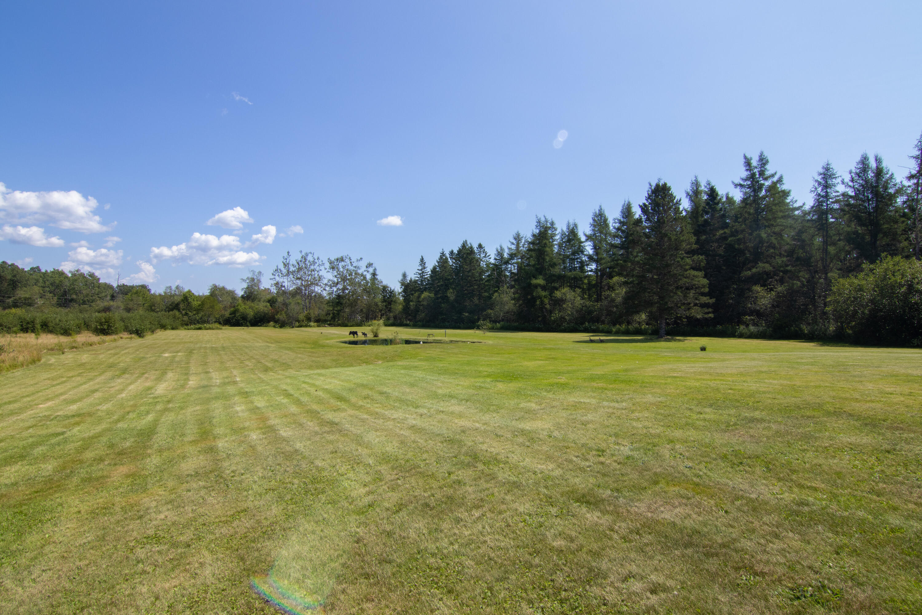 124 Pineo Point Road Harrington, ME 04643 - Photo 49 of 58 124 Wilson District Rd Exterior-9275