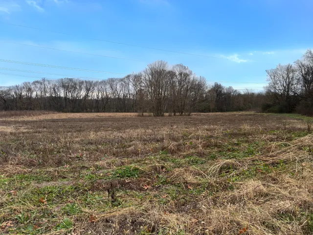 a view of an outdoor space and a yard