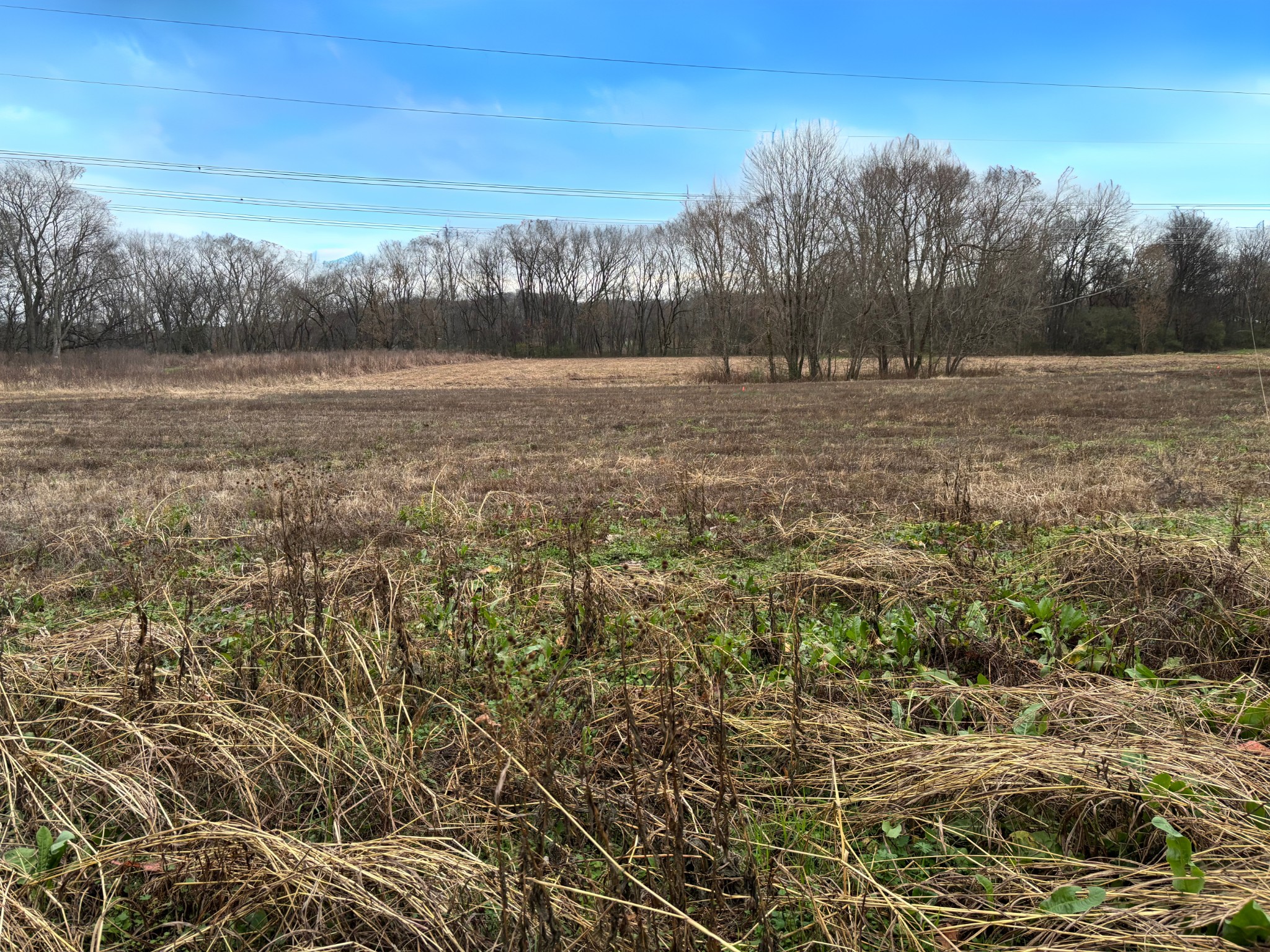 0 Old Hillsboro Road Franklin, TN 37064 - Photo 4 of 6 a view of lake