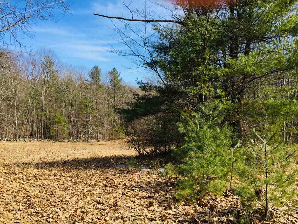 Lot 95-1 Weare Road New Boston, NH 03070 - Photo 1 of 4