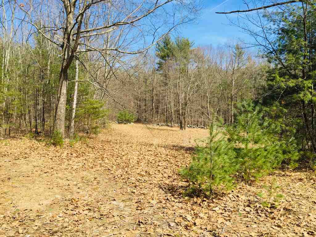 Lot 95-1 Weare Road New Boston, NH 03070 - Photo 3 of 4