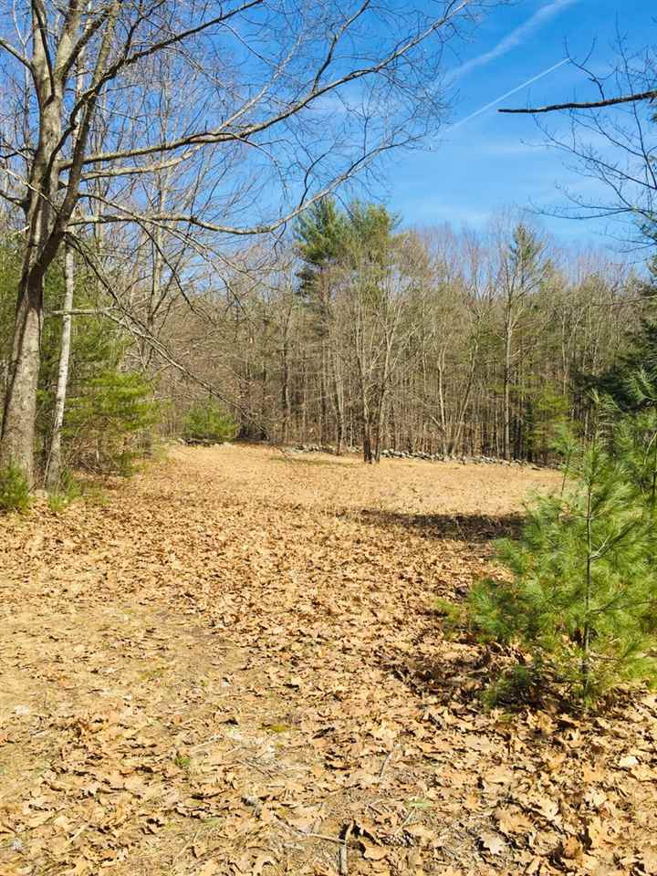 Lot 95-1 Weare Road New Boston, NH 03070 - Photo 4 of 4