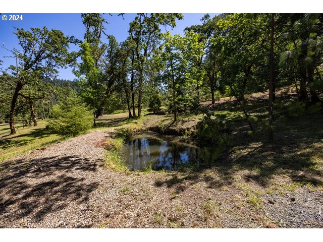 37232 Wallace Creek Road Springfield, OR 97478 - Photo 23 of 45 a backyard of a house with a yard and outdoor seating