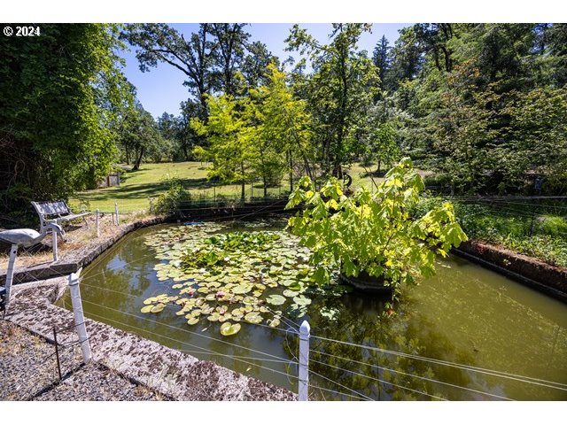 37232 Wallace Creek Road Springfield, OR 97478 - Photo 28 of 45 a view of a lake with a bench