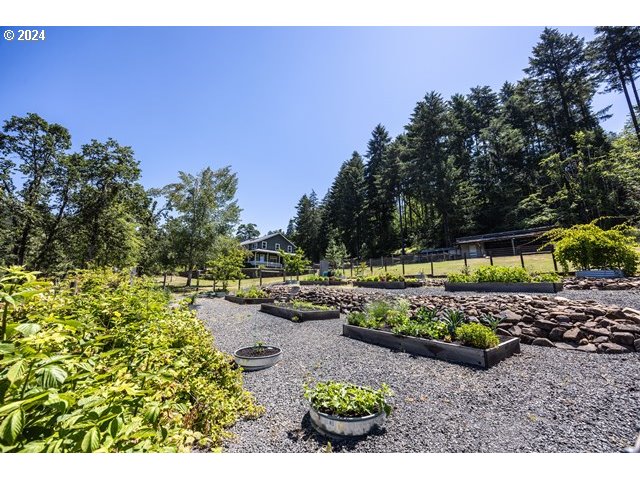37232 Wallace Creek Road Springfield, OR 97478 - Photo 5 of 45 a view of a backyard with plants and a garden
