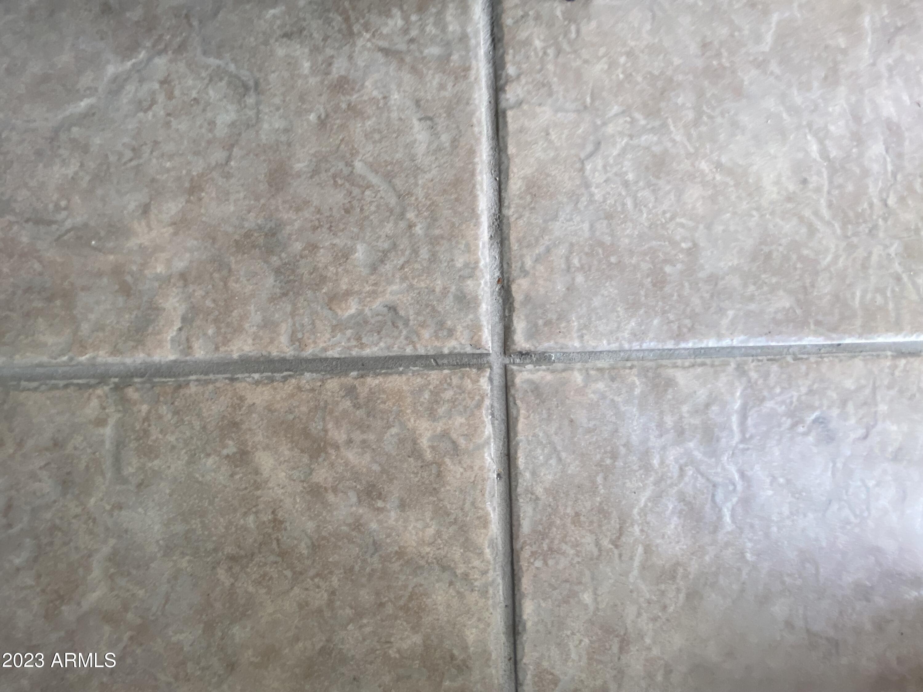 3301 South Goldfield Road Apache Junction, AZ 85119 - Photo 16 of 45 a close view of shower tap