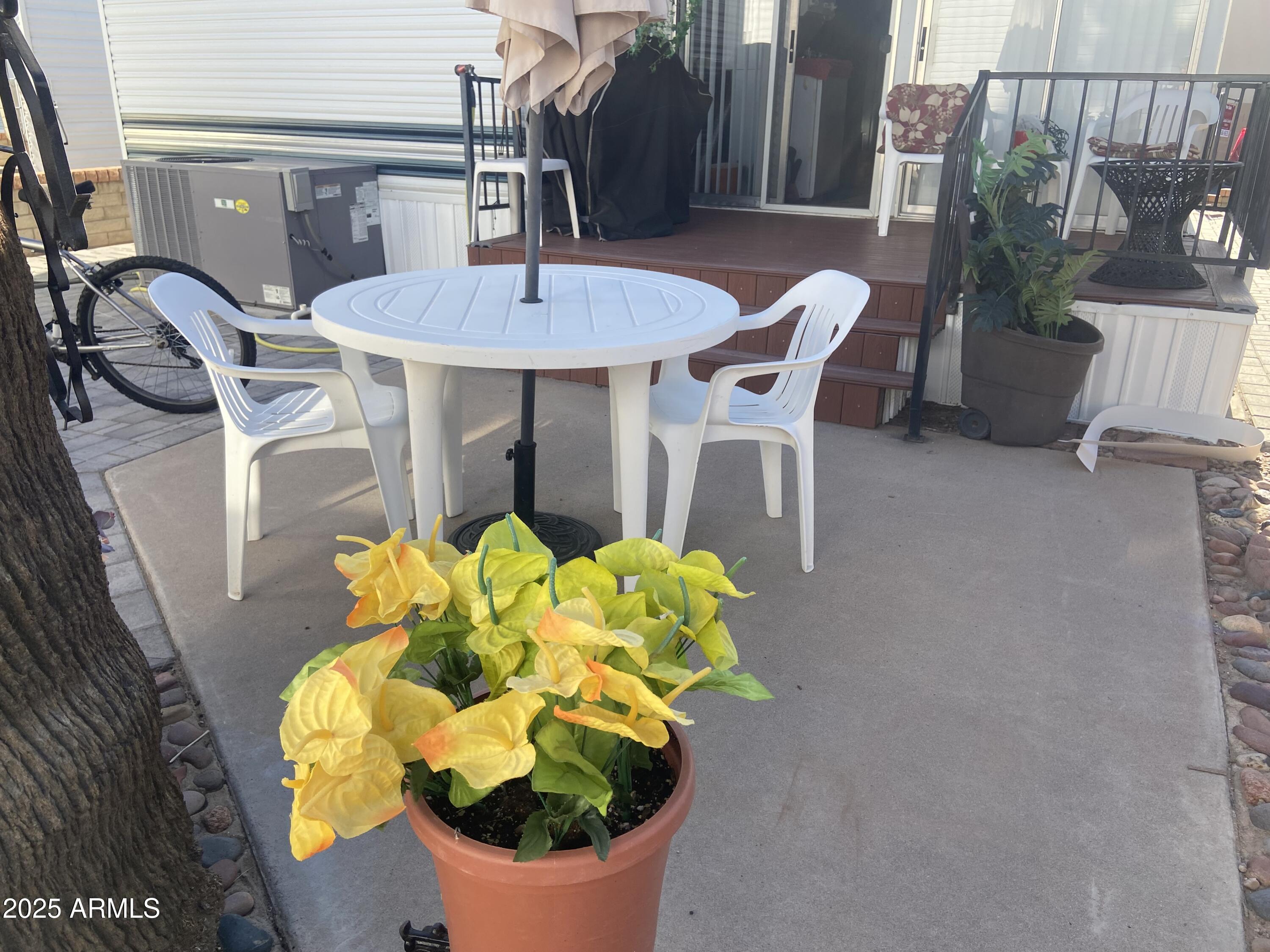 3301 South Goldfield Road Apache Junction, AZ 85119 - Photo 40 of 45 a vase of flowers sitting on a table